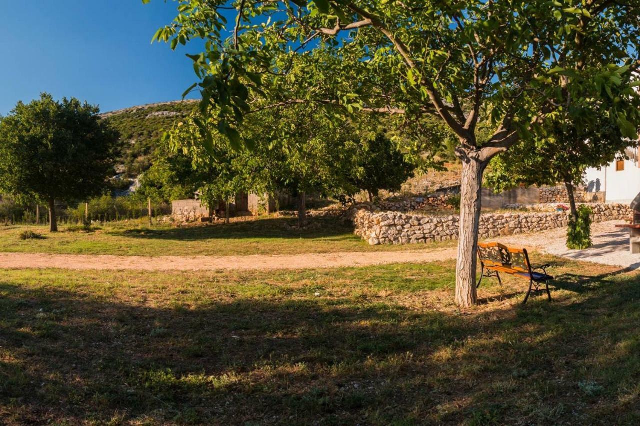 Apartamento Kuca Za Odmor Lucija Vrana  Exterior foto